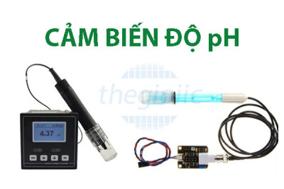 Bí quyết chọn cảm biến đo pH hoàn hảo cho ứng dụng của bạn